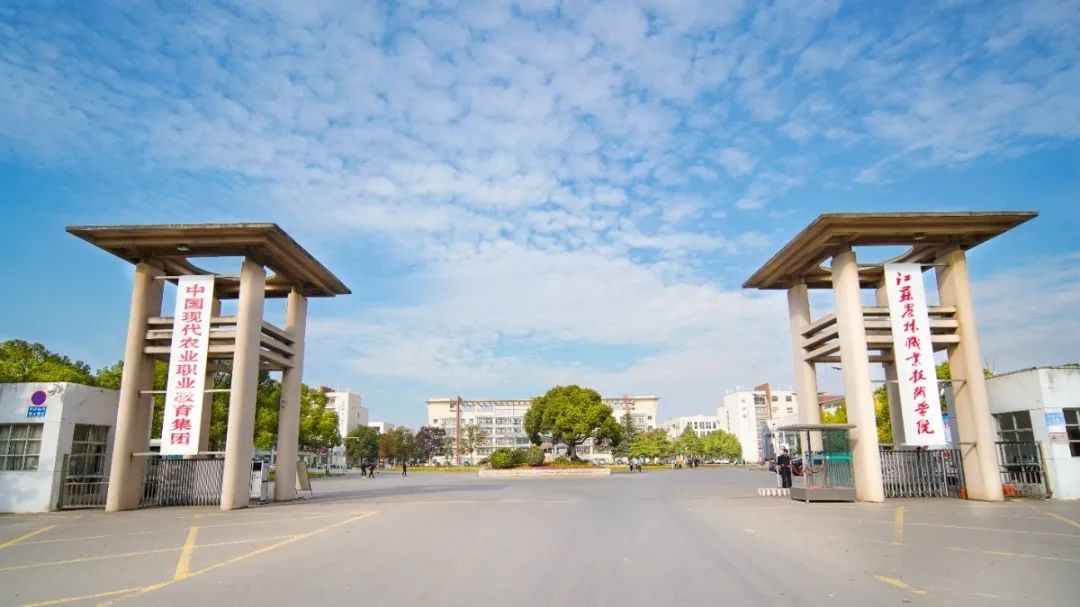 未畢業就定崗，一畢業就任教大學……這所職校的學生緣何這么牛？