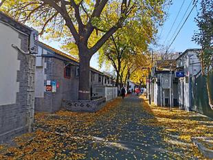 喜報！2020年十大“北京最美街巷”揭曉，又見咱建國門街道倩影