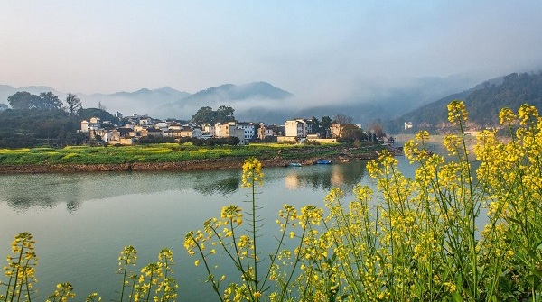 線上辦事“村村通” 走一走政務服務在鄉村的“最后一公里”