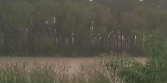 關注河南強降雨丨連夜搜救！連夜加固！連夜轉移！