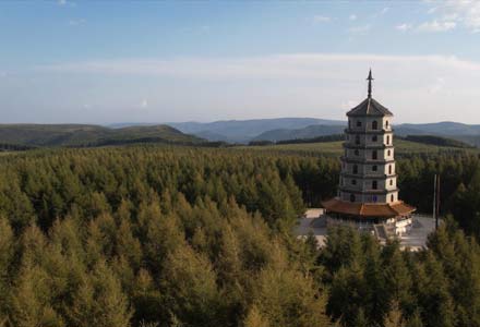 圍場滿族蒙古族自治縣 塞罕壩機械林場