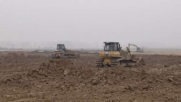 撂荒地重新種上糧 產量效益雙提升