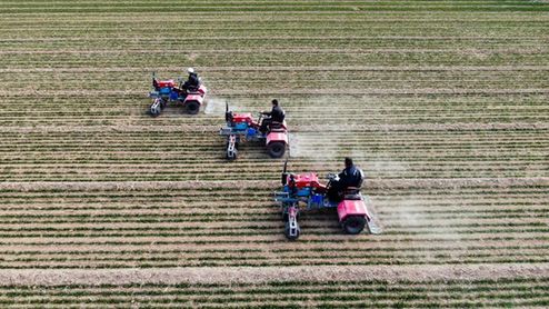 小麥管得怎樣？種子有無保障？農機夠用嗎？