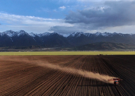 清理歷史“包袱” 釋放“青綠”優勢