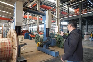 盯緊“灰犀牛” 預防“黑天鵝”