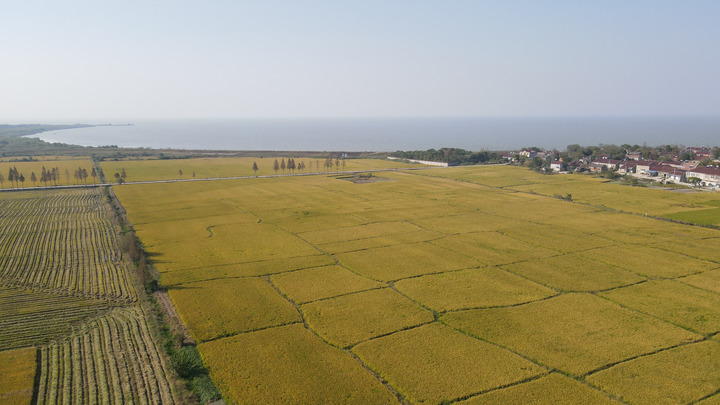 育護“農業芯”　打好“翻身仗”