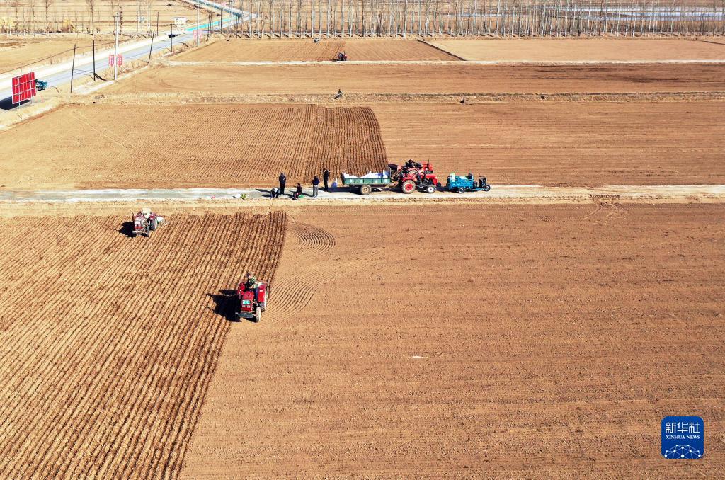 增收動力足 農戶種糧忙——內蒙古河套地區春播見聞