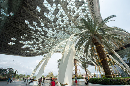 國資央企聚海南 “各顯神通”逐夢自貿港