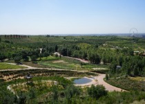 地下是煤?！〉厣献兙G海——黃河中游煤礦區發展見聞