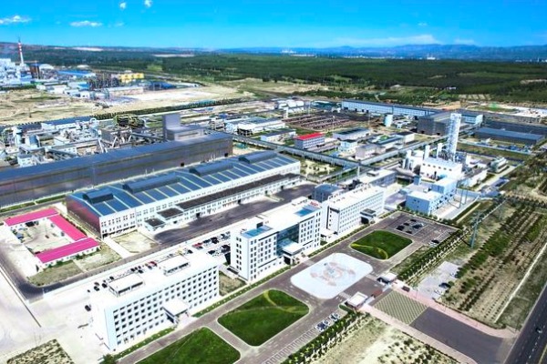 產業“百花齊放” 朋友圈“鏈”向海外