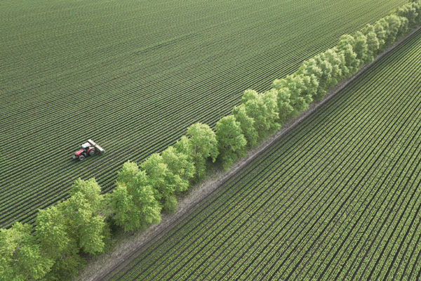 “糧倉”黑龍江:黑土地加強保護 農田提檔升級