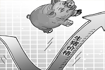 散戶模式留隱患 豬價頻坐“過山車”