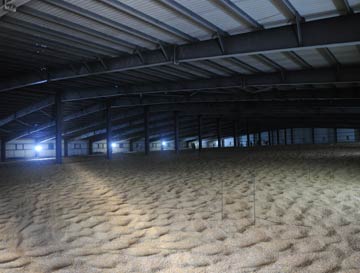 糧倉爆滿 黑龍江千億斤糧食庫存面臨消化難題