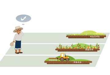 套補貼、無運作“空殼合作社”頻現