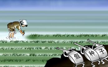 由明轉暗 假劣種子打起“游擊戰”