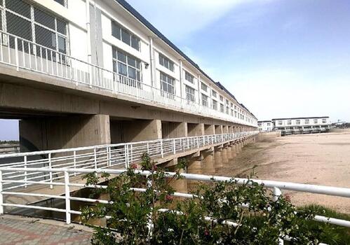 層層攔蓄截斷 遼河只剩“半條命”