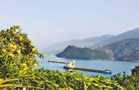 中國節能:爭做長江經濟帶生態保護“領頭雁”