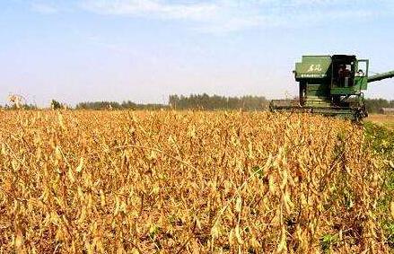 “擴面提產增效” 國產大豆迎振興