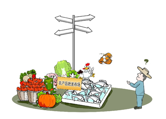 規劃建管舊病難除 追溯配送再添新憂