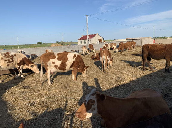 “新調整”能否終結自然保護區亂象？