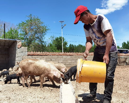 不是勉強及格 個個高分通過