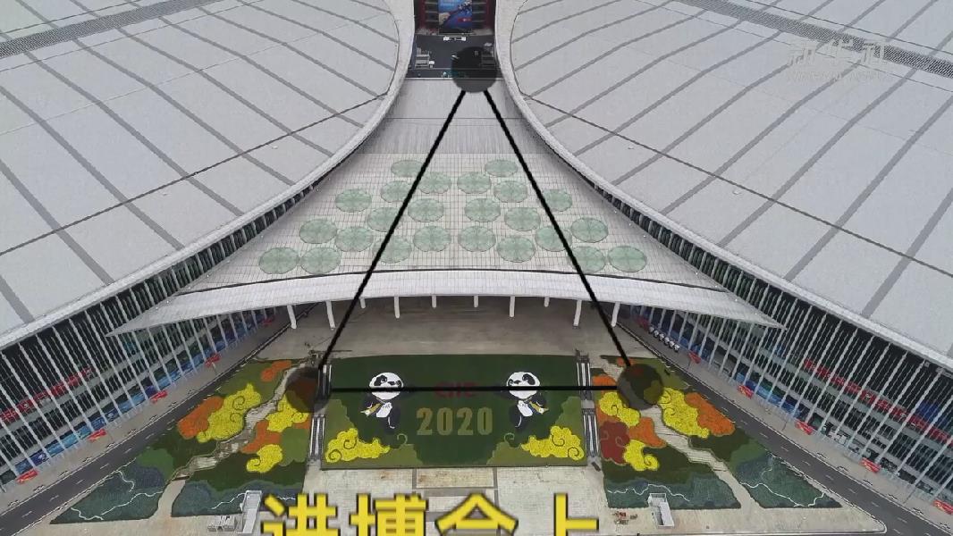 直通進博會 | 看！TA如此有“形”