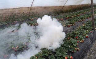 沿用近50年的傳統引火線咋就突然成了爆炸物？