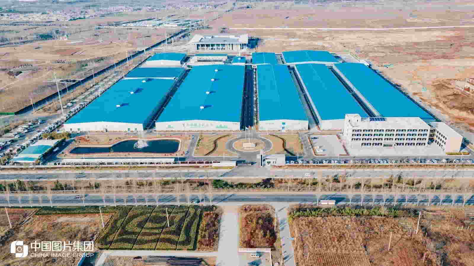 小蘑菇做出大產業