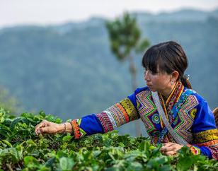 新華社國家高端智庫向全球發布《中國減貧學》智庫報告