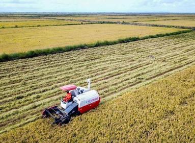 解讀中國特色反貧困理論：政治經濟學視野下的中國減貧理論與實踐